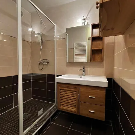 Apartment Confort Pour 5 Aux Menuires - Animaux Admis - Fr-1-452-41 *